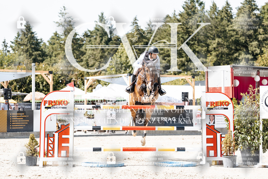 CK905109 | Turnierfotografie Pferdefotografie Trier Rheinland-Pfalz Pferdesport Reitsport Tierfotografie Sportfotografie Pferdevideo Pferdevideografie Equestrianvideography equestrianphotography  - Realisiert mit Pictrs.com