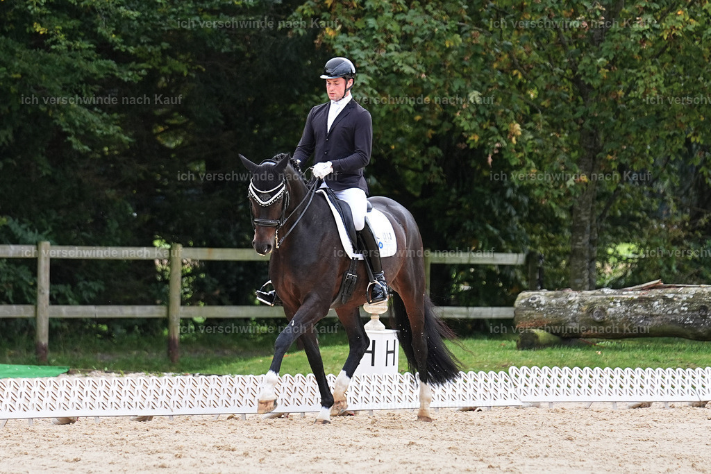 3-213-Dressur M_-Marixx-1994 | working equitationturnier fotograf videograf stoibphotography marixx film working equitation deutschland reitsport turnierfotografie eventfotografie equestrian events