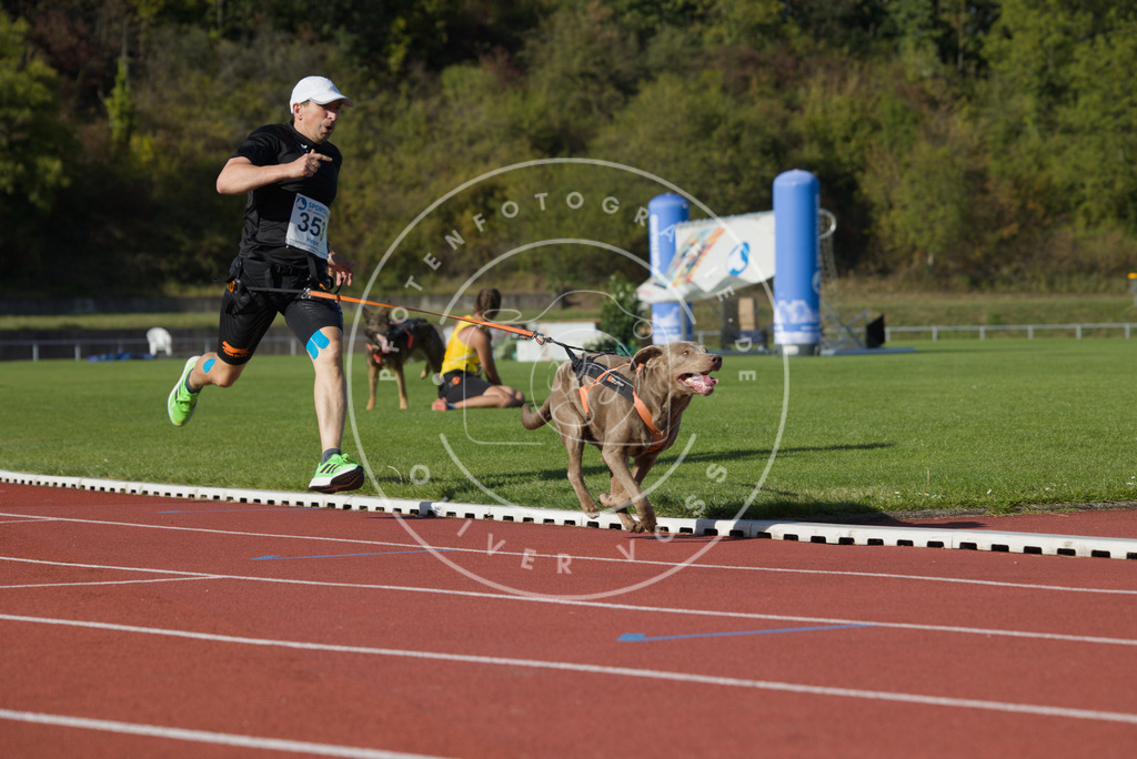 0L8A0147 | Hundefotografie, Tierfotograf, Pfotenfotografie, Fotoshooting Hund, Hunde Portrait, Hundesport, Hundeportraits, Heideshooting, Hunde, Sportfotograf, Hundefotograf, Turnierhundsport, THS,  - Realisiert mit Pictrs.com