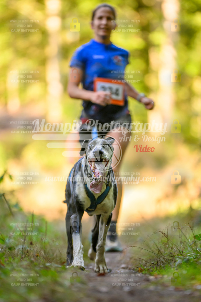 MompixPhotography_Yens2025_B3-153 | PayLife