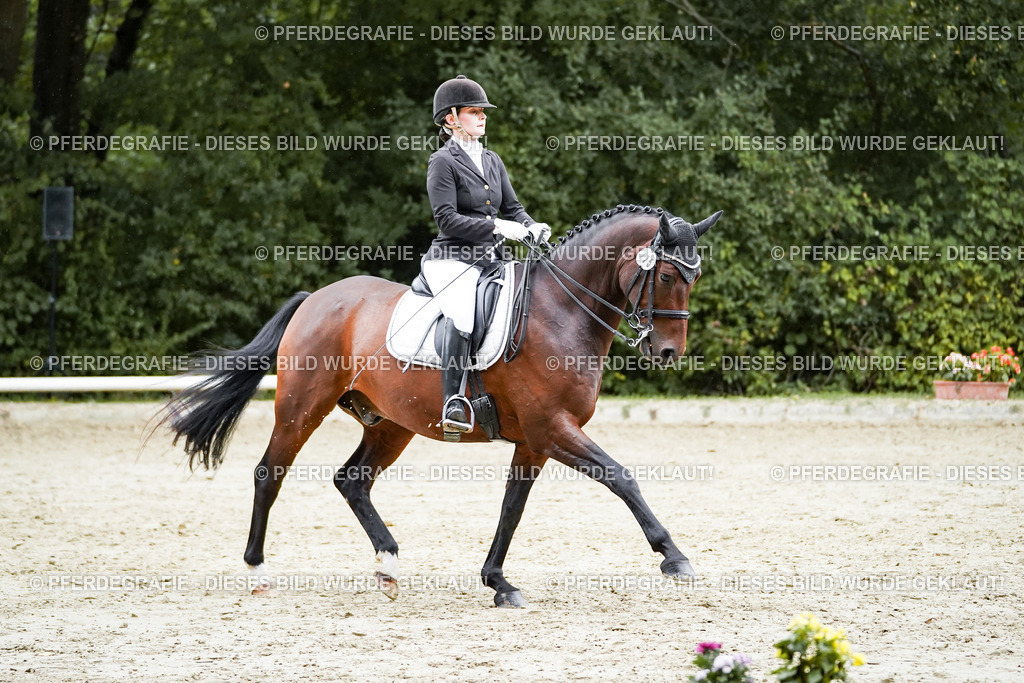 DSC00548 | Pferdegrafie