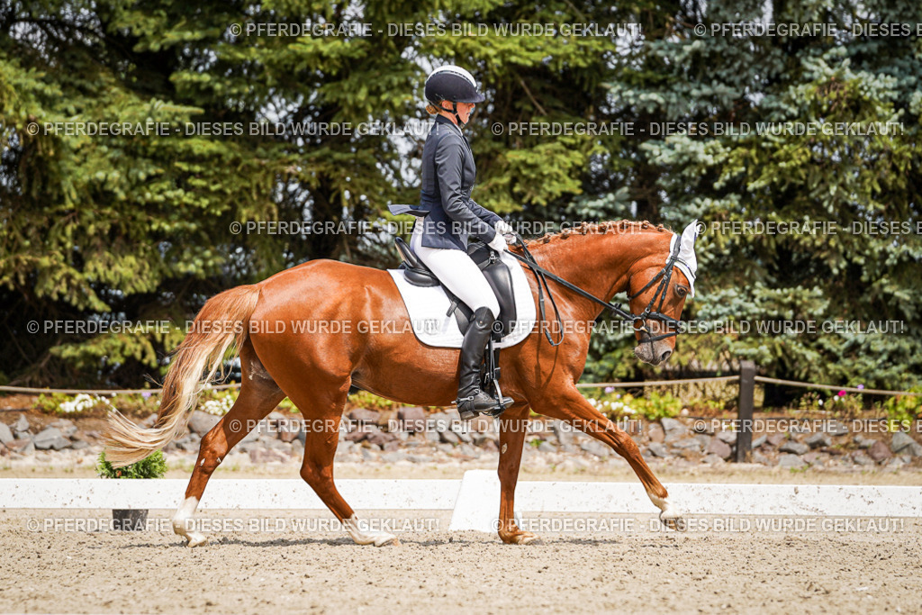 DSC03108 | Pferdegrafie