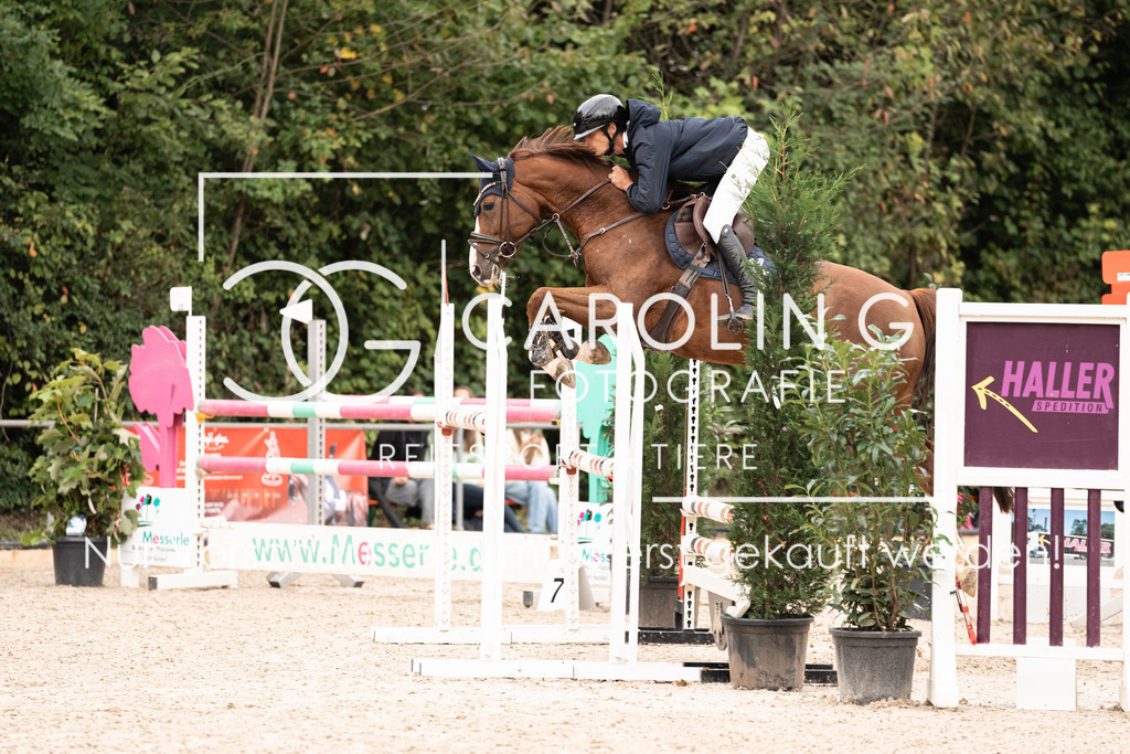 DSC04366 | Carolin Gieschke