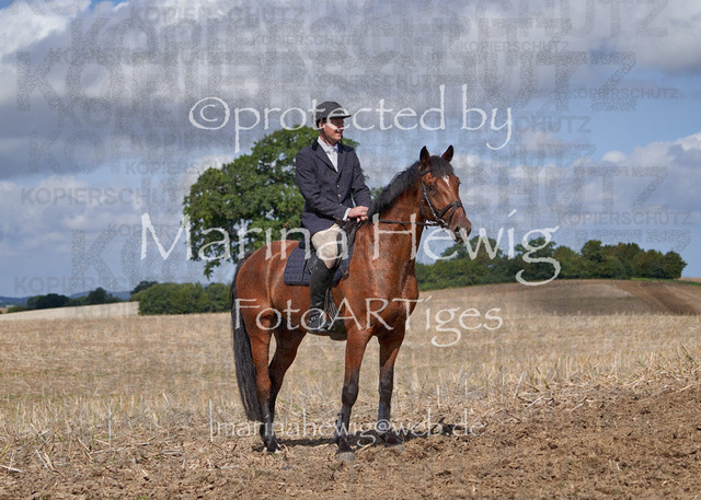 _MCH8081_Marina Hewig | Fotografie, FotoArt, PferdesportArt, Pferdesportfotografie, Landschaftsfotografie, Reisefotografie, Reise, Pferde - Realisiert mit Pictrs.com