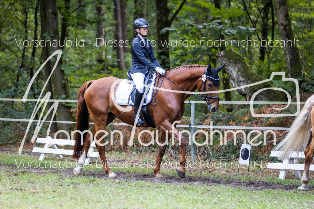 HB-Dressur-WB-055 | MomenTaufnahmen Pferdesportfotos