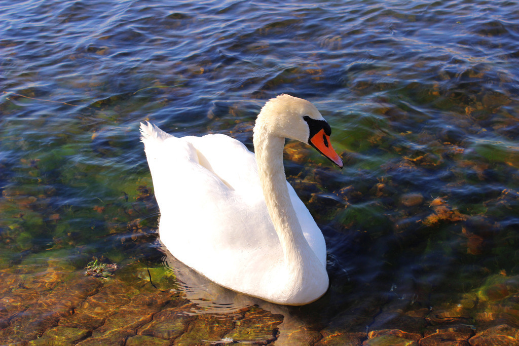 011_Burger_Binnensee | Kuratierte Ostsee Wandbilder in hoher Qualität (Leinwand, Acrylglas). Für Zuhause, Büro & Praxis. Fairer Preis & Zahlung auf Rechnung. Jetzt entdecken! - Realisiert mit Pictrs.com