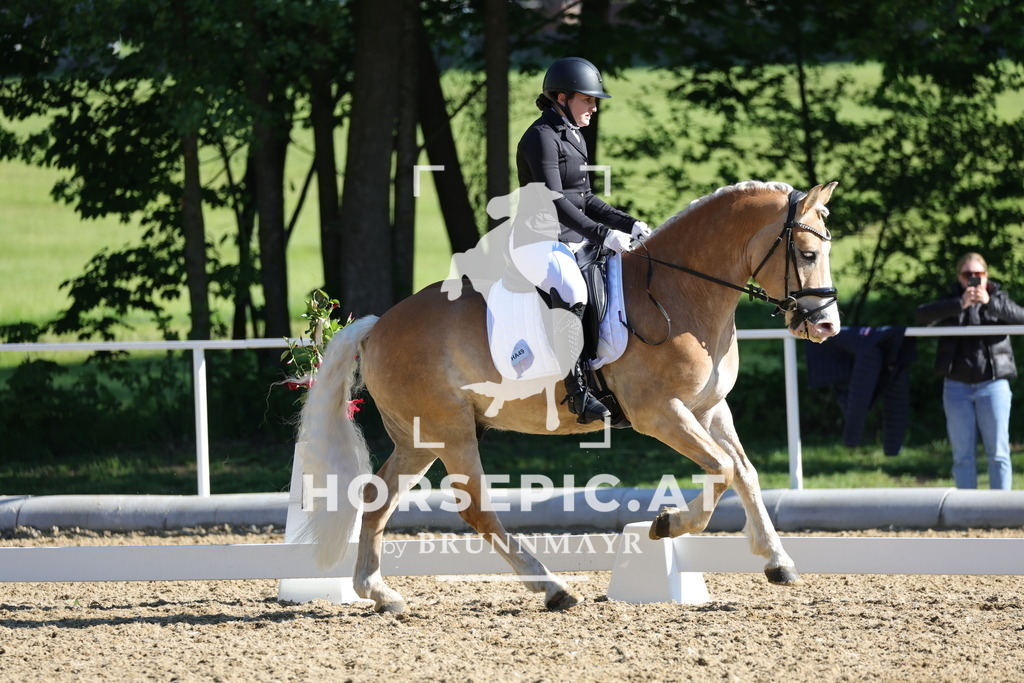 0P6A9358 | Willkommen bei Brunnmayr - Design & Fotografie – Ihrem Spezialisten für Reitturniere und Pferdeveranstaltungen in Oberösterreich, Salzburg und Bayern! Seit über 17 Jahren sind wir leidenschaftlich dabei.