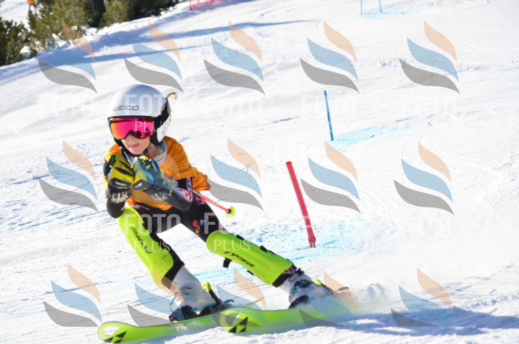 C6039 | holidayphoto