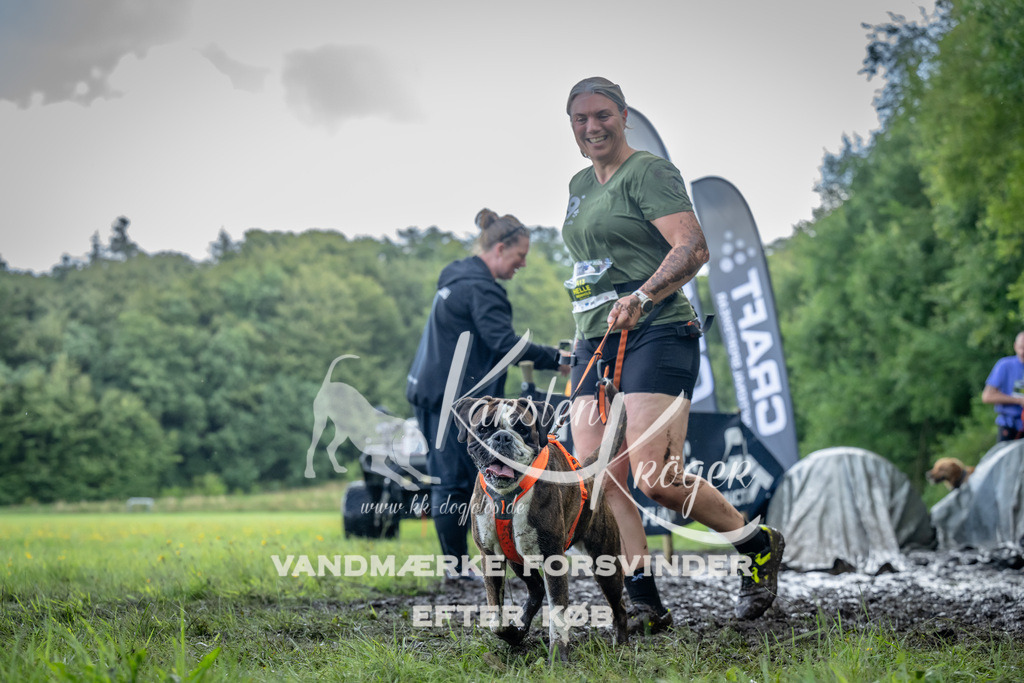 1149_ZZ94398 | kk-dogfotos