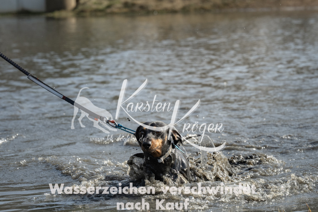 1258_ZZ93355 | kk-dogfotos