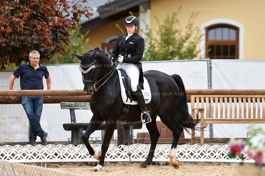 11-093-Dressur S___-StoibPH-1341 | working equitationturnier fotograf videograf stoibphotography marixx film working equitation deutschland reitsport turnierfotografie eventfotografie equestrian events