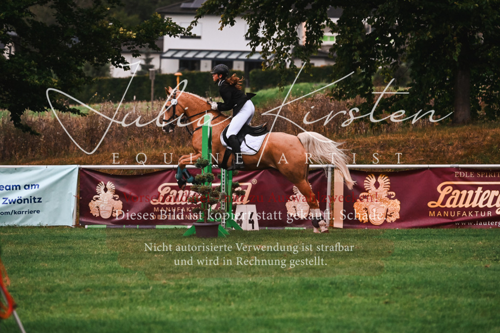 DSC_6128 | Pferde- und Turnierfotografie in Westsachsen. Pferdeportraits, Auftragszeichnungen und intuitive Kunst.