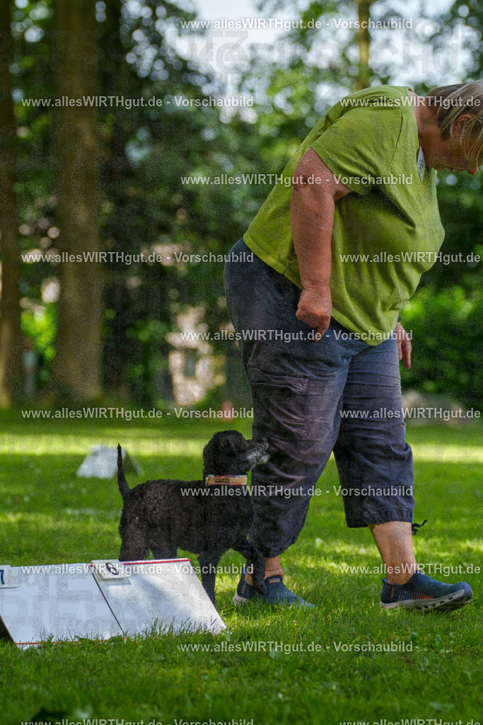 @allesWIRTHgut_Tierfotografie - www.allesWIRTHgut.de - 125011-7R509491 | Professionelle Tierfotografie in Mönchengladbach von Daniel Wirth (allesWIRTHgut). Liebevolle & natürliche Bilder von Hunden & Katzen für unvergessliche Erinnerungen.