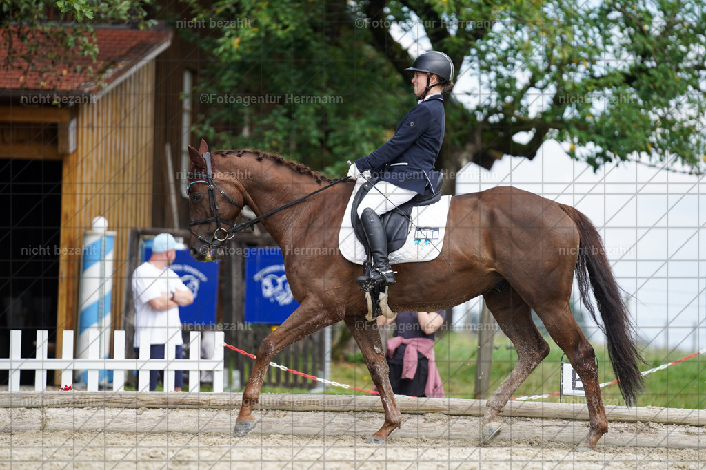 20230826-FAH05341 | Forstinning, 2023, Dressurturnier, Turniersportbilder, Turnierfotografen Bayern, Fotoagentur Herrmann, Reitsportfotografie, Turnierbilder