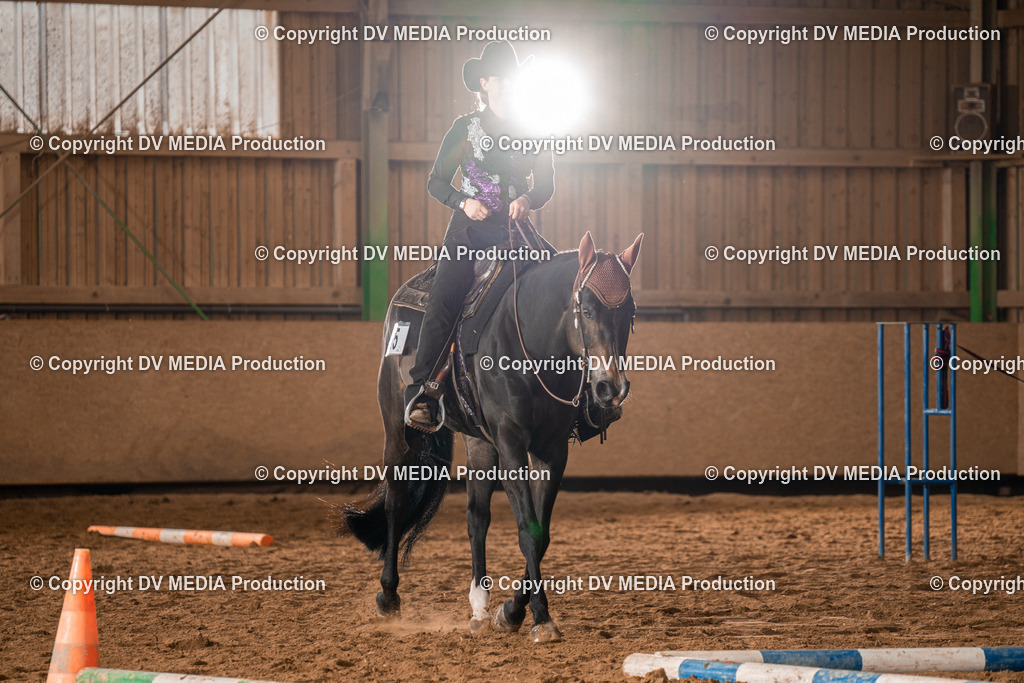 BA300419 | dv-media-shop - Realisiert mit Pictrs.com