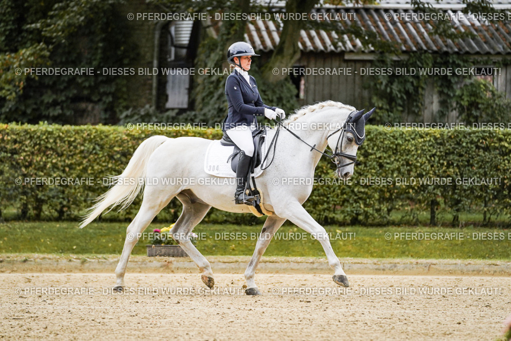 DSC06576 | Pferdegrafie