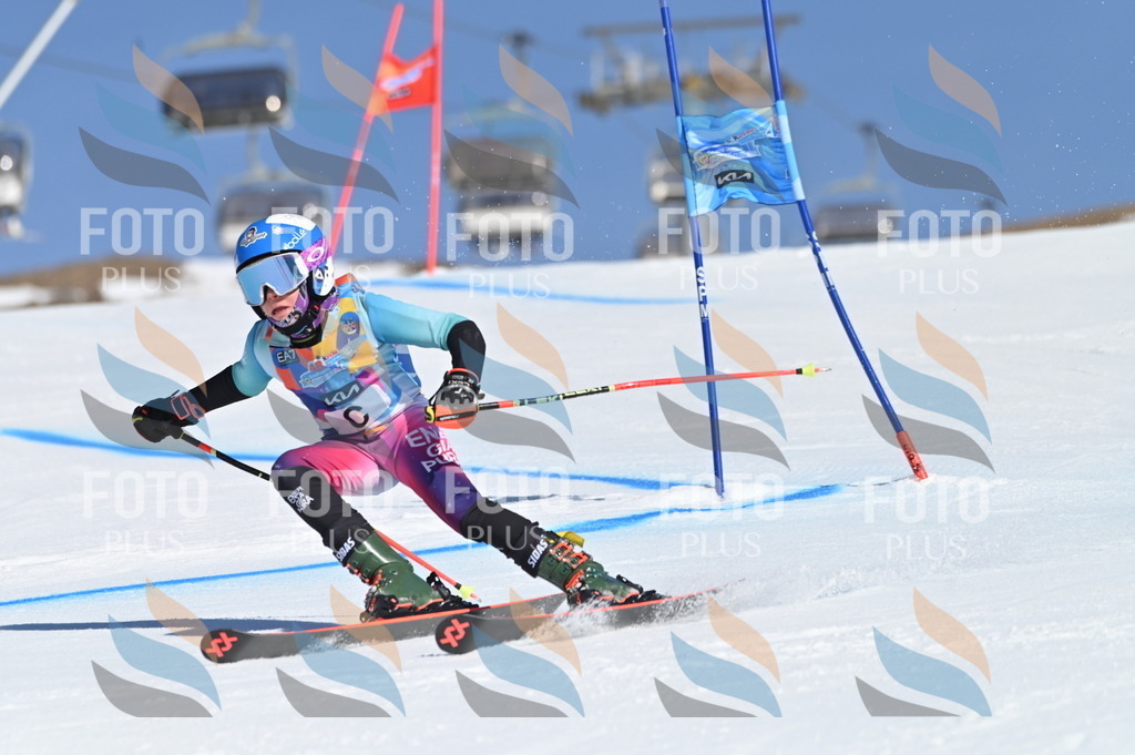 BGV_7567 | holidayphoto