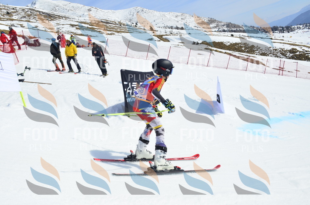 _ELE1351 | holidayphoto