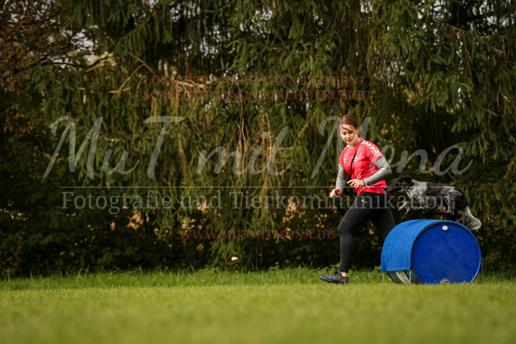 20251005_THS_Turnier-576 | MuT (Mensch und Tier) mit Mona - Fotografie und Tierkommunikation - Realisiert mit Pictrs.com