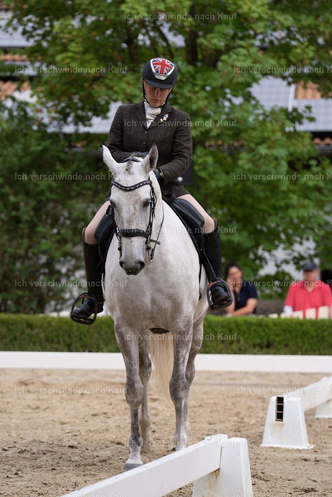 WS_DR_87_sinafilmart_IN00704 | working equitationturnier fotograf videograf stoibphotography marixx film working equitation deutschland reitsport turnierfotografie eventfotografie equestrian events