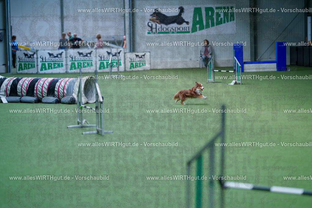 @allesWIRTHgut_Tierfotografie - www.allesWIRTHgut.de - 2604261219-7R500693 | Professionelle Tierfotografie in Mönchengladbach von Daniel Wirth (allesWIRTHgut). Liebevolle & natürliche Bilder von Hunden & Katzen für unvergessliche Erinnerungen.