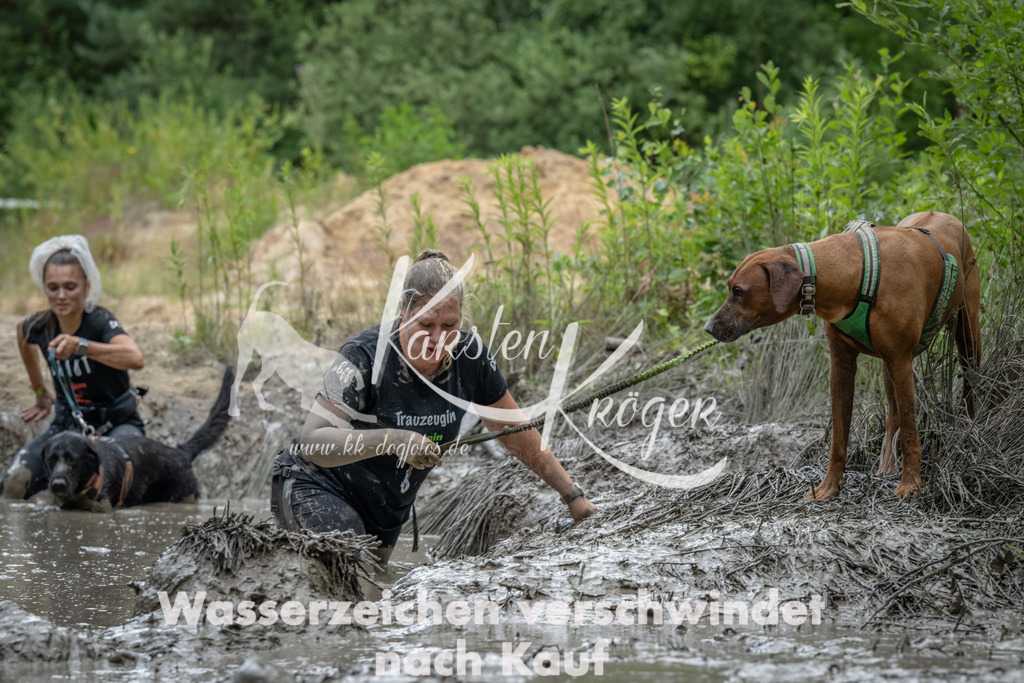 1548_ZZ91197 | kk-dogfotos