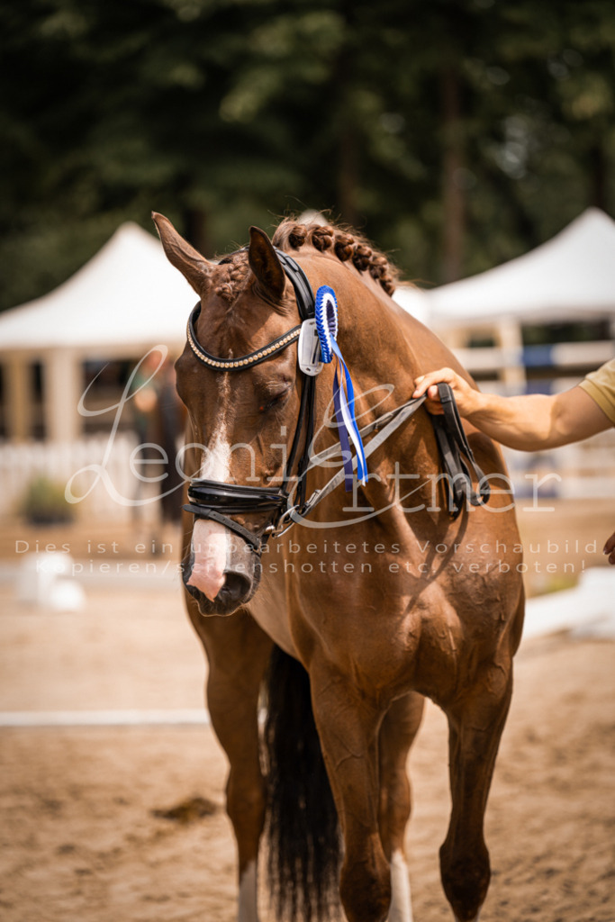 4.Fr00215 | Leoni Ertmer Photography - Realisiert mit Pictrs.com