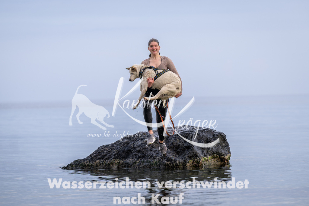 1211_ZZ90105 | kk-dogfotos