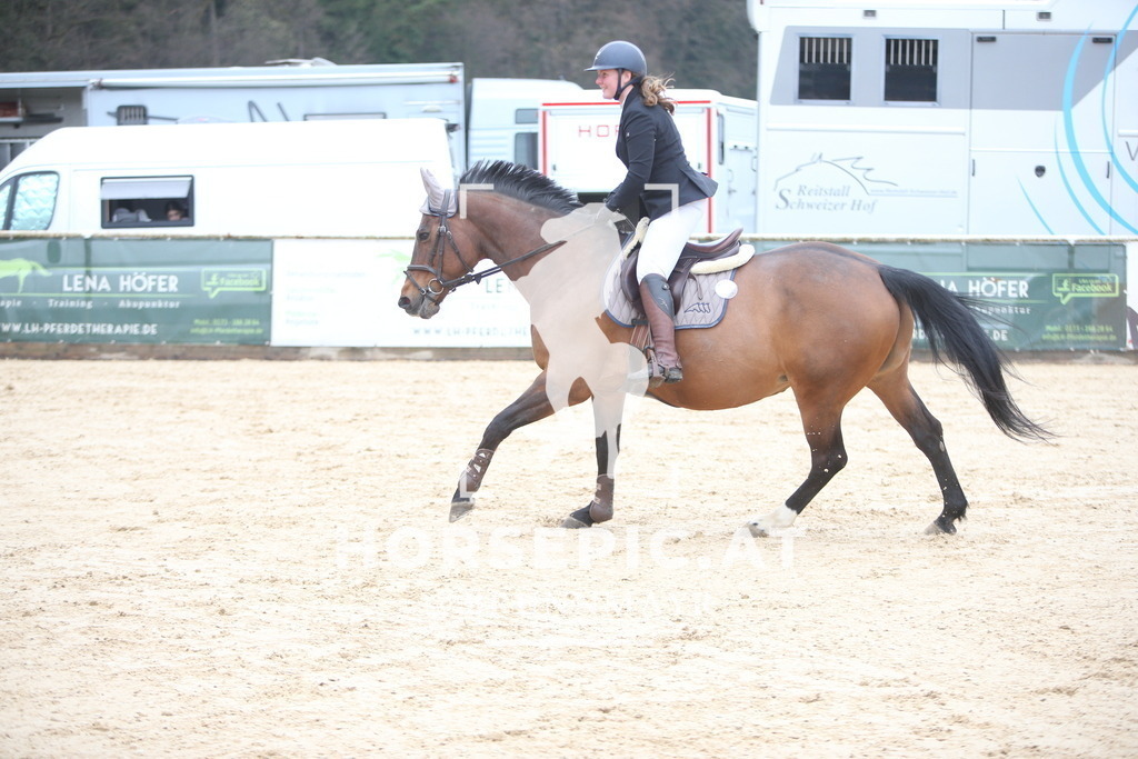 AS8V9782 | Willkommen bei Brunnmayr - Design & Fotografie – Ihrem Spezialisten für Reitturniere und Pferdeveranstaltungen in Oberösterreich, Salzburg und Bayern! Seit über 17 Jahren sind wir leidenschaftlich dabei.