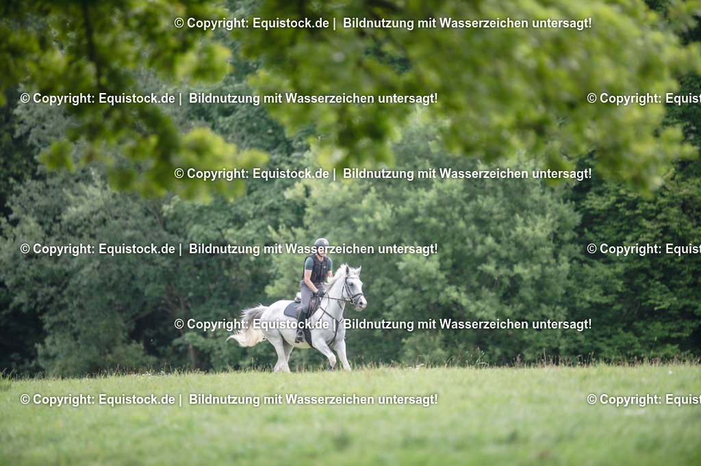 20250726_Vielseitigkeitslehrgang-Marbach_0614 | Foto: Thomas Hartig