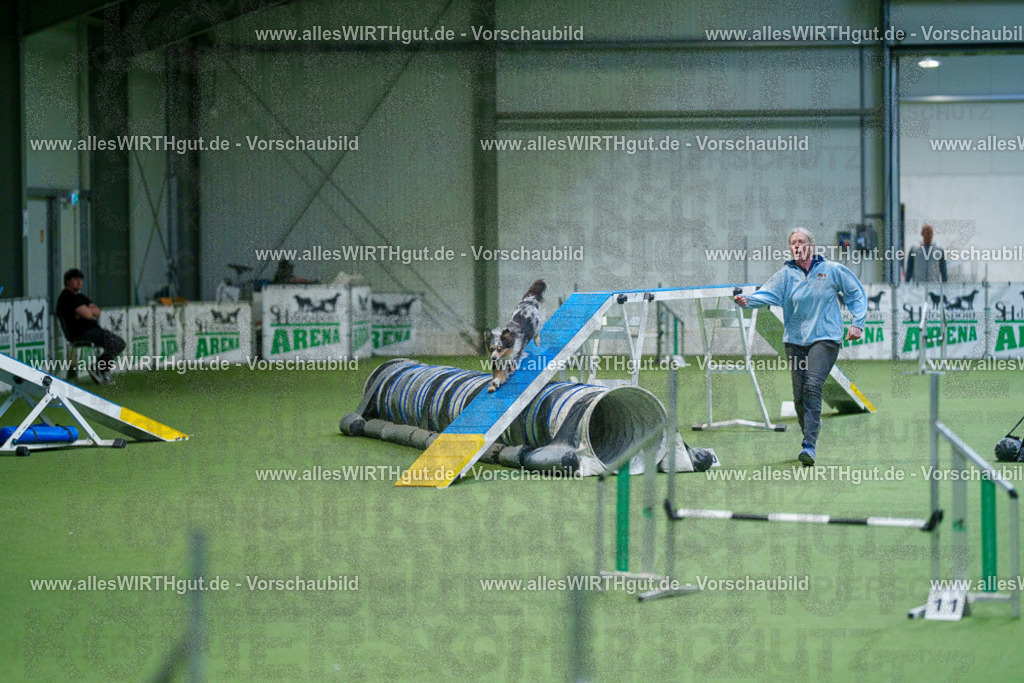 @allesWIRTHgut_Tierfotografie - www.allesWIRTHgut.de - 2604250842-7R507471 | Professionelle Tierfotografie in Mönchengladbach von Daniel Wirth (allesWIRTHgut). Liebevolle & natürliche Bilder von Hunden & Katzen für unvergessliche Erinnerungen.