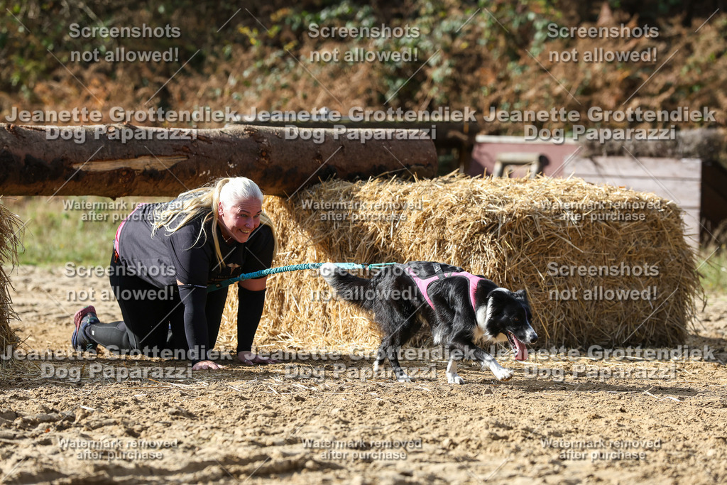 Dog Paparazzi - Strongdog 10-25-5355 | Dog Paparazzi Jeanette Grottendiek Fotografie & Videografie - Realisiert mit Pictrs.com