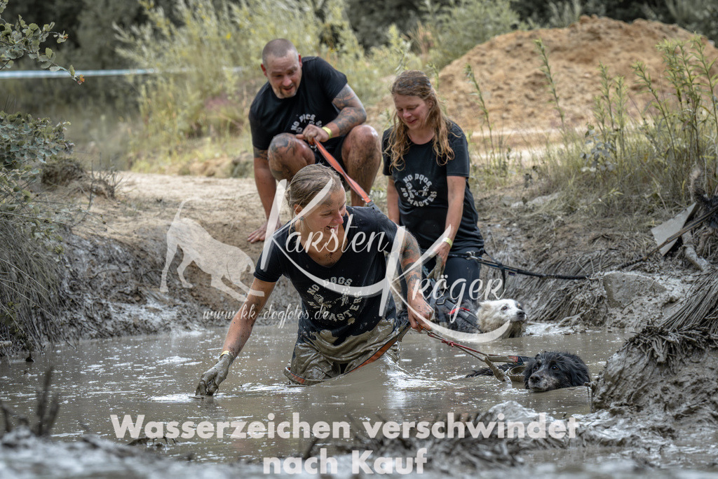 1601_ZZ90269-Verbessert-RR | kk-dogfotos