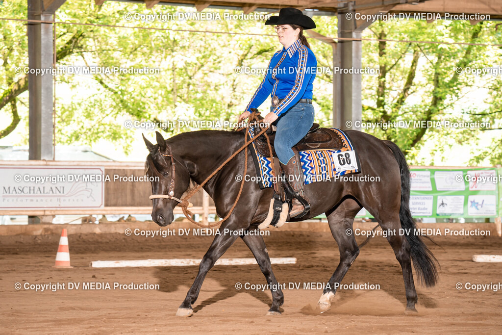 Erbach Tag 1-653 | dv-media-shop - Realisiert mit Pictrs.com