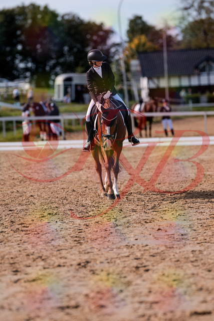2026_10_03_Siefer-Hof_133317_Z81_91761317 | Professionelle Reitsport-, Turnier- und Eventfotografie von Robert Broda. Galerien mit ausgewählten und bearbeiteten Bildern direkt online ansehen und bestellen.