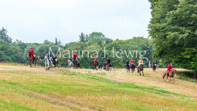 Jagd Kletkamp 26-02872_MarinaHewig | Fotografie, FotoArt, PferdesportArt, Pferdesportfotografie, Landschaftsfotografie, Reisefotografie, Reise, Pferde - Realisiert mit Pictrs.com