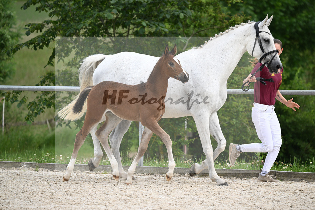 Diacord x Ciacomini_SF_Trukenbrod_20241155 | hf-fotografie - Realisiert mit Pictrs.com