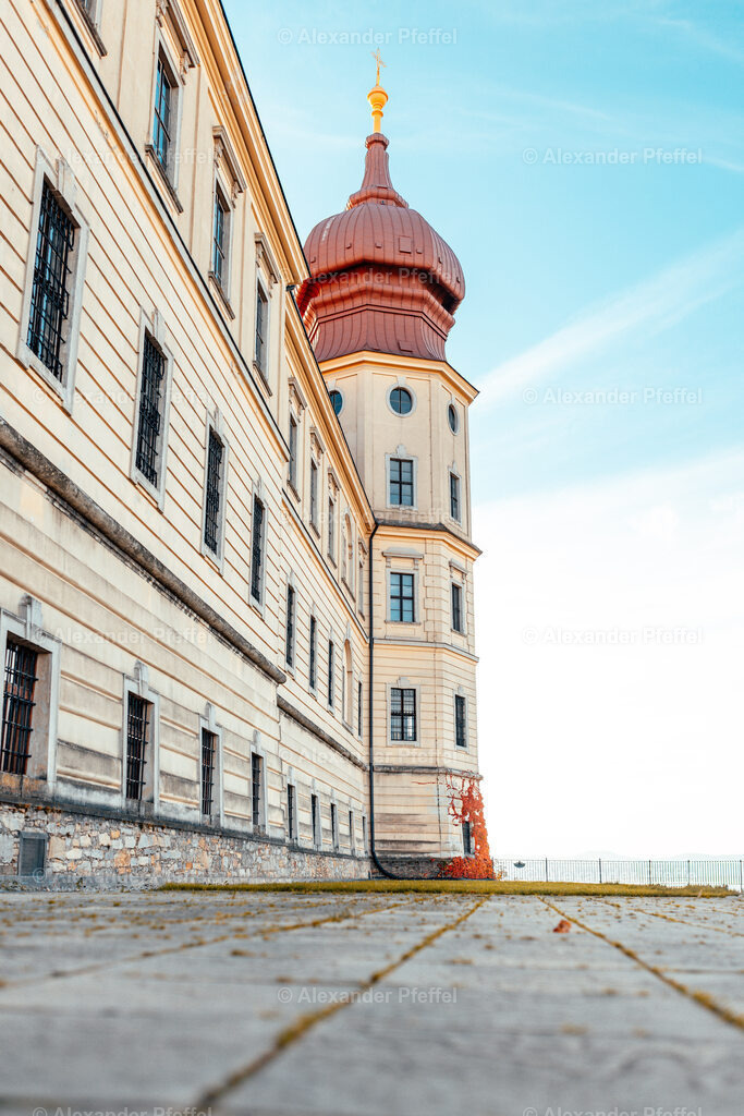 foto_c_pfeffel-partner-0200-R51_9237 | alexander-pfeffel - Realisiert mit Pictrs.com