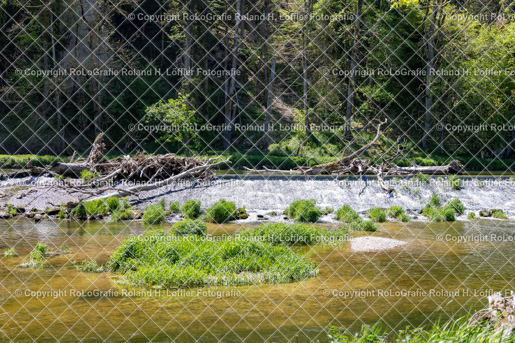 Donau-Donautal-09 | IPTC Infos - Realisiert mit Pictrs.com