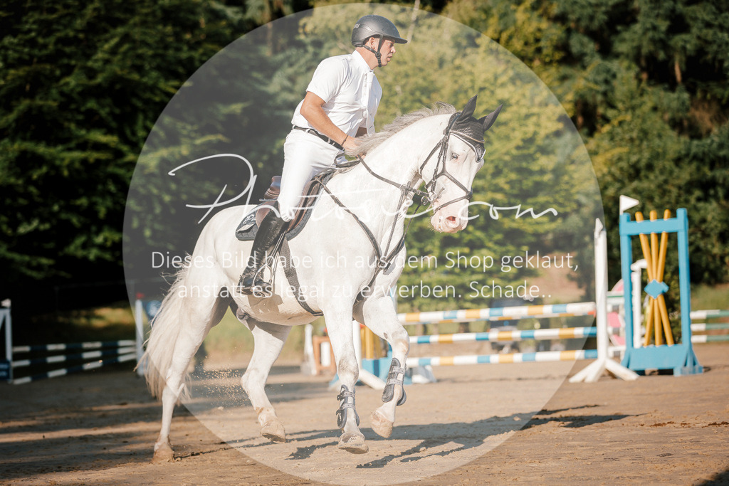 3I6A6229 | Stimmungsvolle Portraits und Reitsportfotografie im Ruhrgebiet und im Münsterland.

Pferdefotografie, Hundefotografie, Tierfotografie, Reportagen, Portraits von Tier und Mensch, Turnierfotografie in Bochum, Recklinghausen, Marl, Haltern am See, Dülmen.. - Realisiert mit Pictrs.com