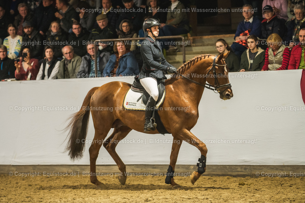 20240302_Hengstvorstellung_Marbach_TOMsPiC_1344 | equistock