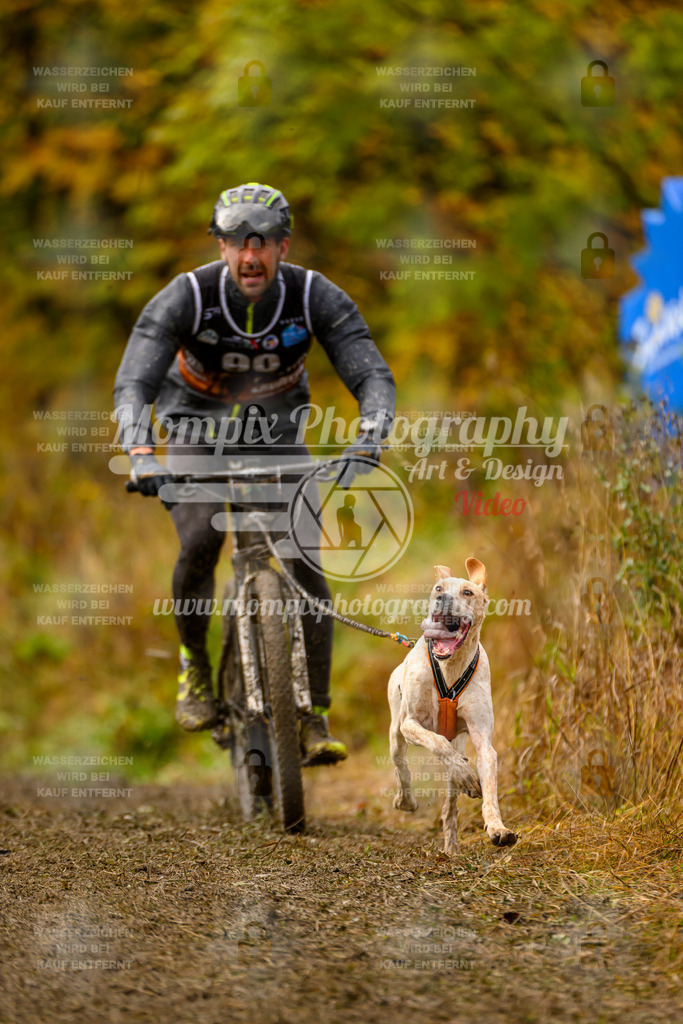 MompixPhotography_ICF_WC_2024_SA_Bike_-41 | PayLife