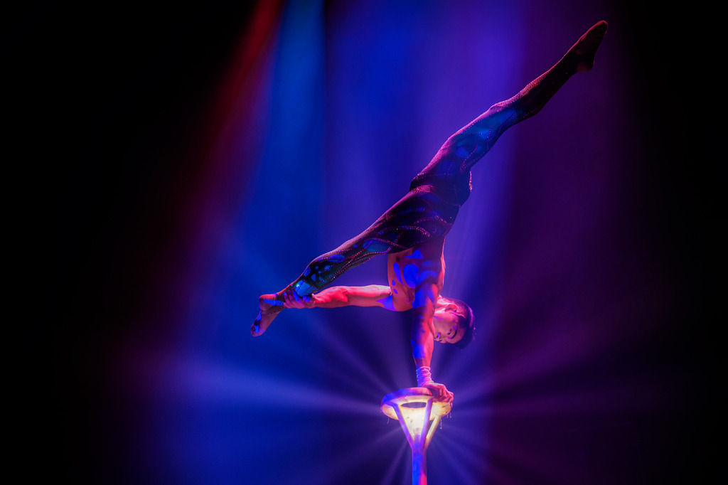 _D4S7385-1 | photoluigi