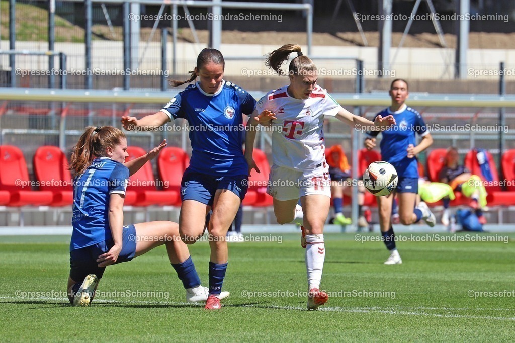 xSSC11052502048 | 11.05.2025, xsscx, Frauen Fußball, 1. FC Köln - Turbine Potsdam, 1. Fußball Bundesliga, 22. Spieltag, Franz-Kremer-Stadion, Saison 2024 2025: Emilie Bernhardt (Turbine Potsdam 31) im Zweikampf mit Karin Heisen (Turbine Potsdam 3) und Alena Bienz (1. FC Köln 11) DFB regulations prohibit any use of photographs as image sequences and or quasi-video.