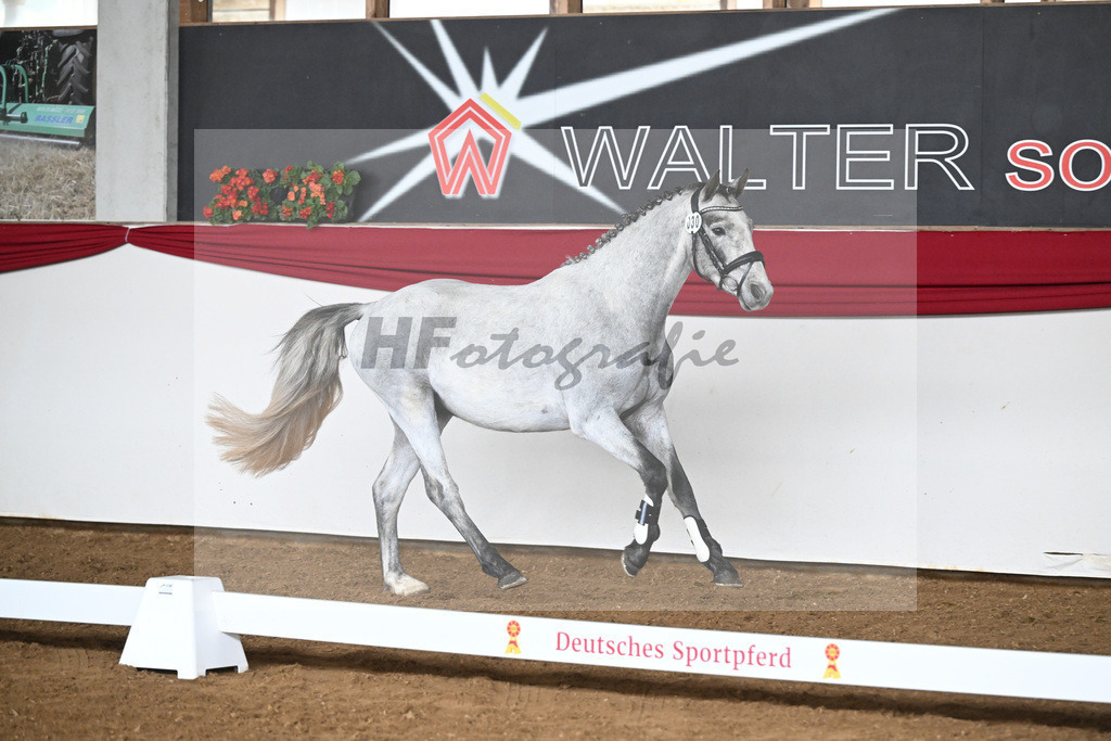 Kat-Nr. 30 DuCoeur JB v. Del Piero_Pensel_16250375 | hf-fotografie - Realizzato con Pictrs.com