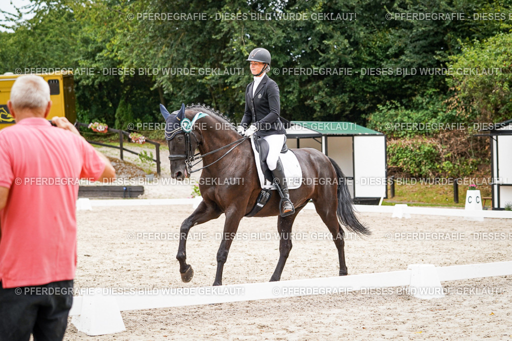 DSC04830 | Pferdegrafie