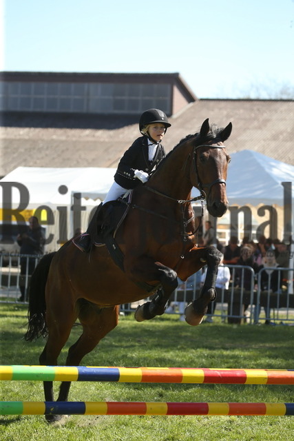 Meißenheim_2022_Stilspring-WB_ohne erlaubte Zeit_Paula Roming_Liborius 4 (9) | Alle Fotos der Reiterjournal Fotografin Doris Matthaes im Reiterjournal Online-Fotoshop. - Realizado com Pictrs.com