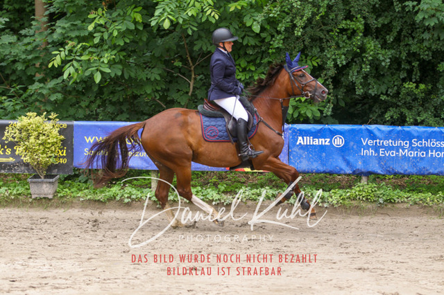 DKP44963 | Turniersportfotografie; Pferdefotografie; Dressurfotografie