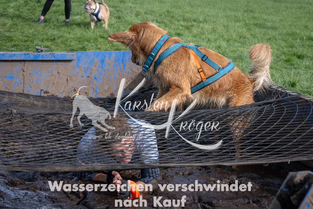 1609_ZZ91798 | kk-dogfotos