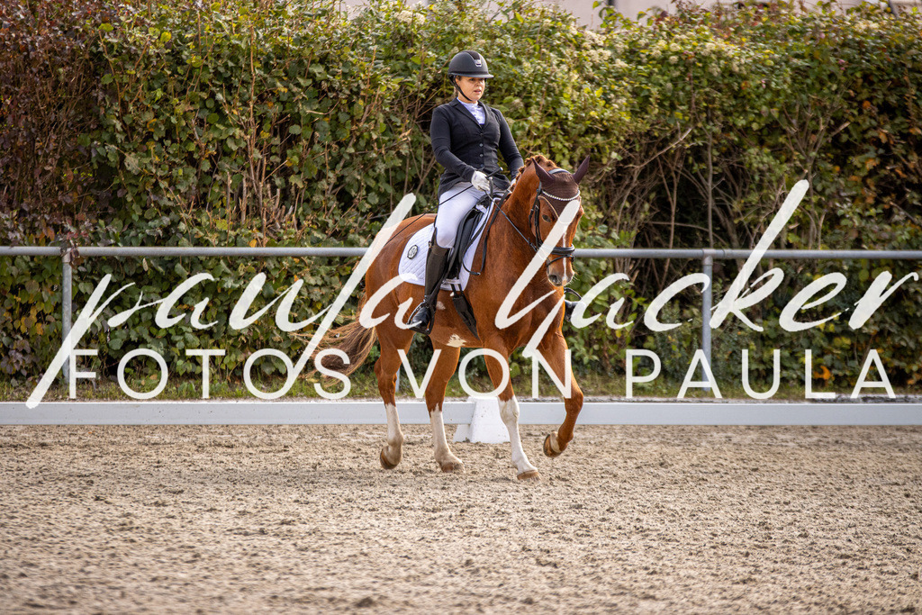 IMG_3328 | Erleben Sie dynamische Sport- und emotionale Tierfotografie in Süddeutschland mit Fotos von Paula. Spezialisiert auf Pferde- und Hundefotografie sowie Sportevents. Kontaktieren Sie mich für einzigartige und ausdrucksstarke Bilder Ihrer besonderen Momente.